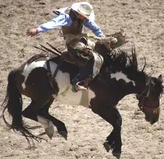 Bronc Busting at the Chief Joseph Days Rodeo in Joseph, Oregon 