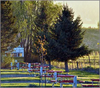 Red picnic tables in sunset shadows at the Mountain View RV Park