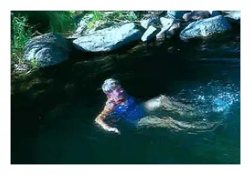 A patron taking a plunge at the Mountain View’s swimming hole 