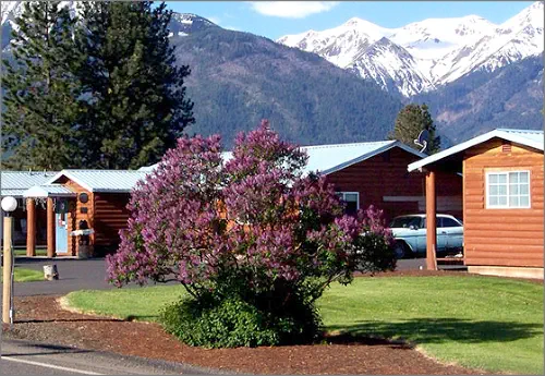 Purple lilacs in front of the Mountain View Motel 