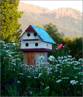 Mountain View RV Park Birdhouse in Joseph, Oregon 