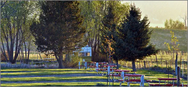 Red picnic tables with tall trees in sunset shadows at the Mountain View RV Park 