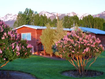 Spring lilacs at the Mountain View Motel - RV Park